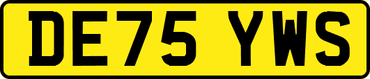 DE75YWS