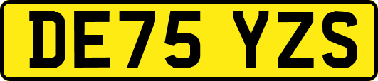 DE75YZS