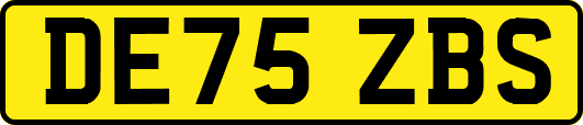 DE75ZBS