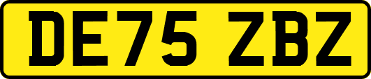 DE75ZBZ