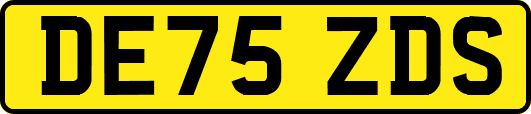 DE75ZDS
