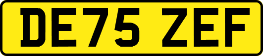 DE75ZEF