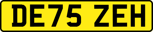 DE75ZEH