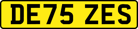 DE75ZES