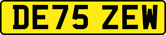 DE75ZEW