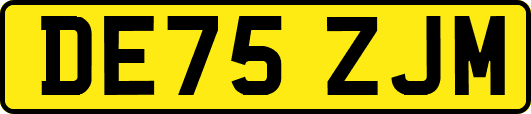 DE75ZJM