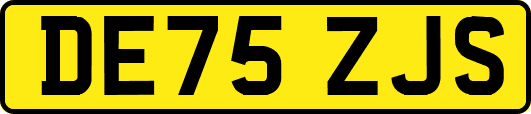 DE75ZJS