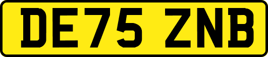 DE75ZNB