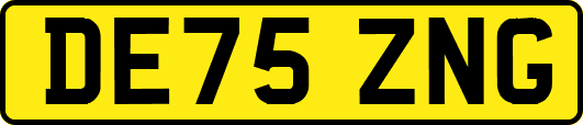DE75ZNG