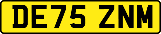 DE75ZNM