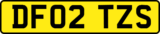 DF02TZS