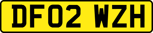 DF02WZH