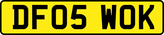 DF05WOK