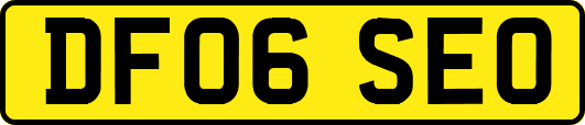 DF06SEO