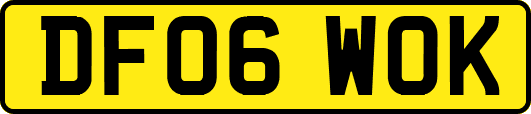 DF06WOK