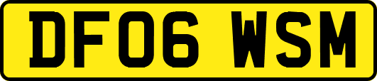 DF06WSM