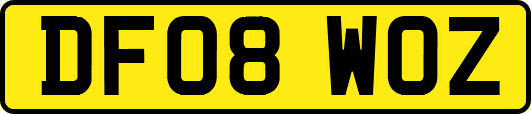 DF08WOZ
