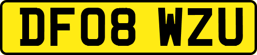 DF08WZU