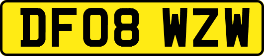 DF08WZW