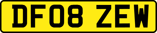 DF08ZEW