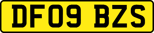 DF09BZS