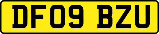 DF09BZU