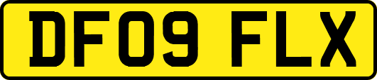 DF09FLX