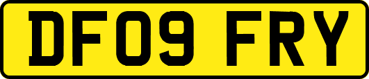 DF09FRY
