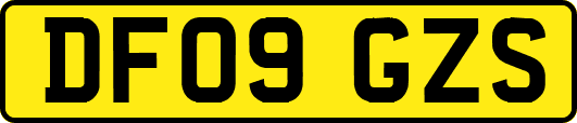 DF09GZS