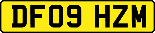 DF09HZM