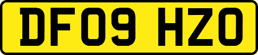 DF09HZO