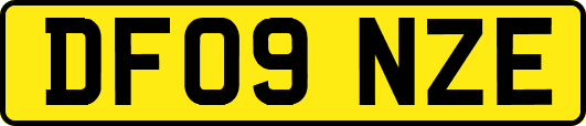 DF09NZE