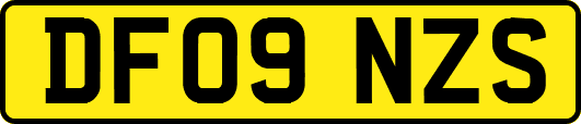 DF09NZS