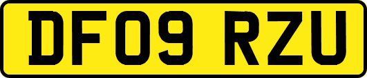 DF09RZU