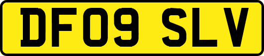 DF09SLV