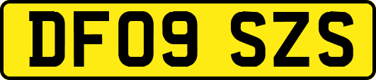DF09SZS