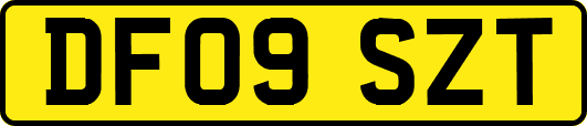 DF09SZT