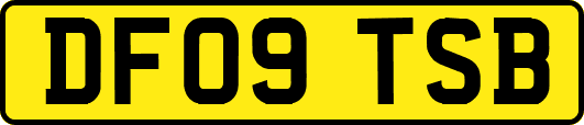 DF09TSB