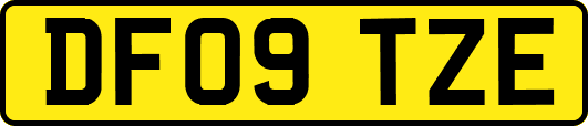 DF09TZE