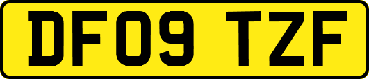 DF09TZF