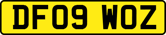 DF09WOZ