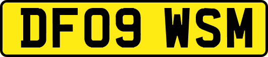 DF09WSM