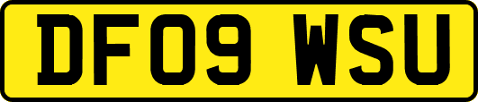 DF09WSU