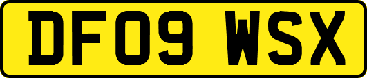 DF09WSX