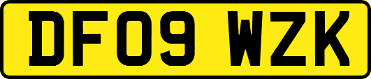 DF09WZK