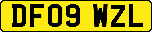 DF09WZL