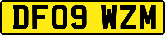 DF09WZM