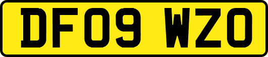 DF09WZO