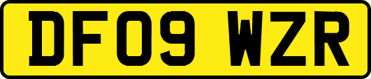 DF09WZR