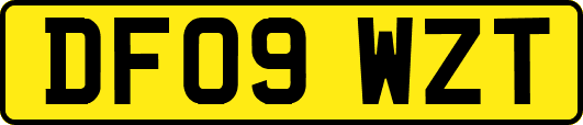 DF09WZT